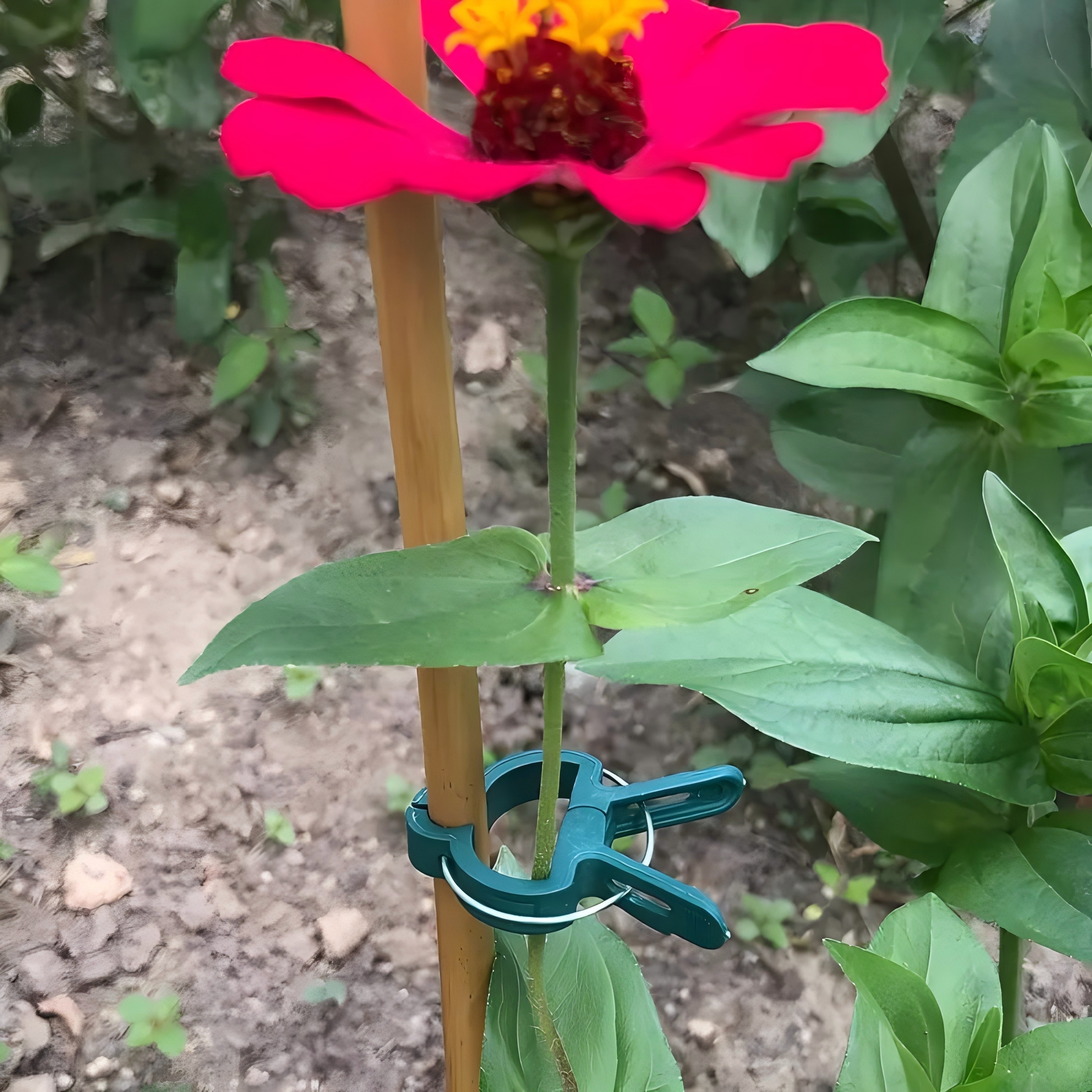 Essential Gardening Tools - 20 Adjustable Plant Support Clips –
