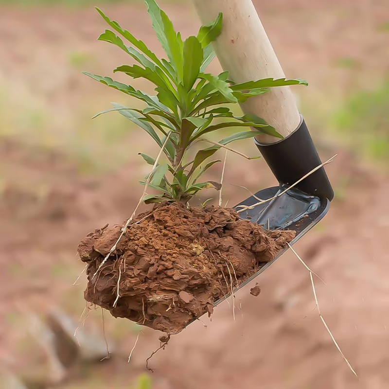Digging Soil Small Hoe used in - đánh giá và giá Gardening Tools Japanese