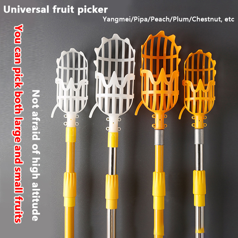 Picking Loquat Picking Bayberr - đánh giá và giá Gardening Tools Organizer