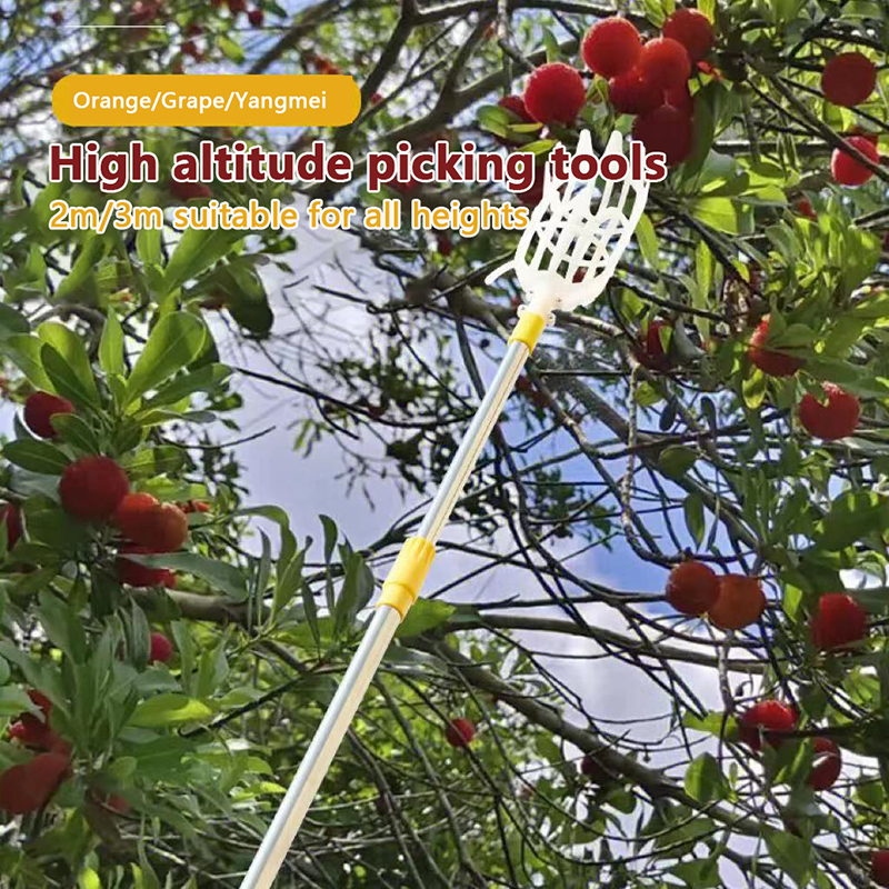 Picking Loquat Picking Bayberr - đánh giá và giá Gardening Tools Organizer
