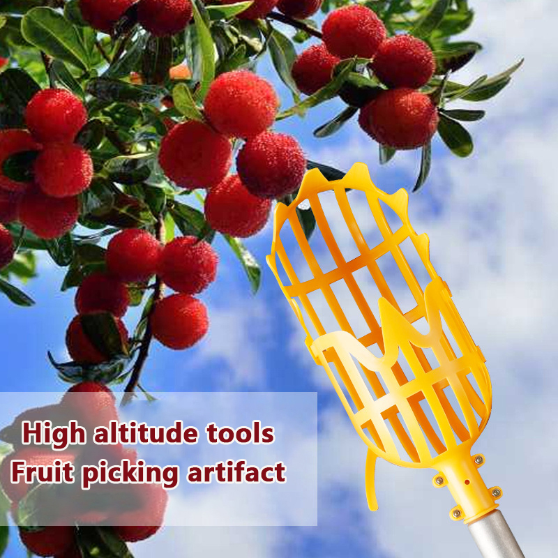 Picking Loquat Picking Bayberr - đánh giá và giá Gardening Tools Organizer