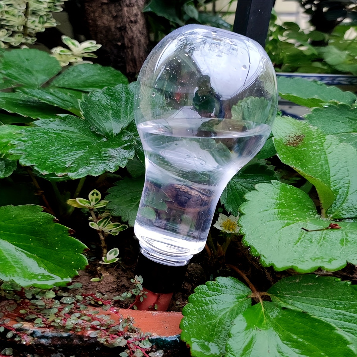 Garden Automatic Watering Tool - đánh giá và giá Gardening Tools Water