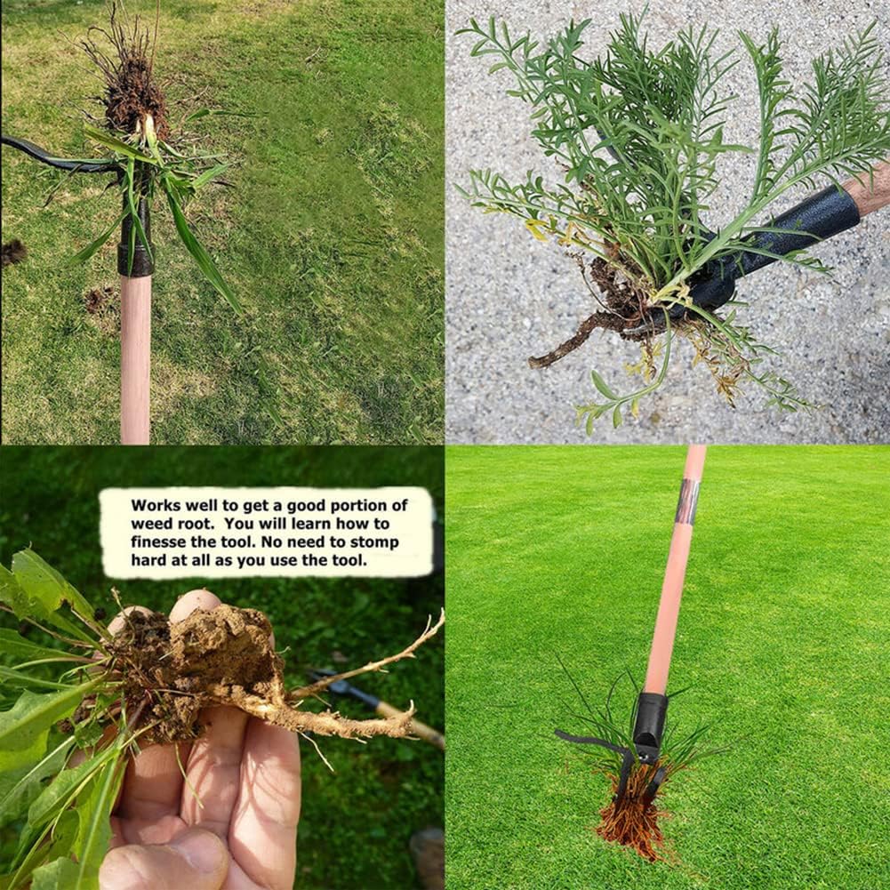 Stand Up Weed Puller Tool Deta - đánh giá và giá Weed Puller
