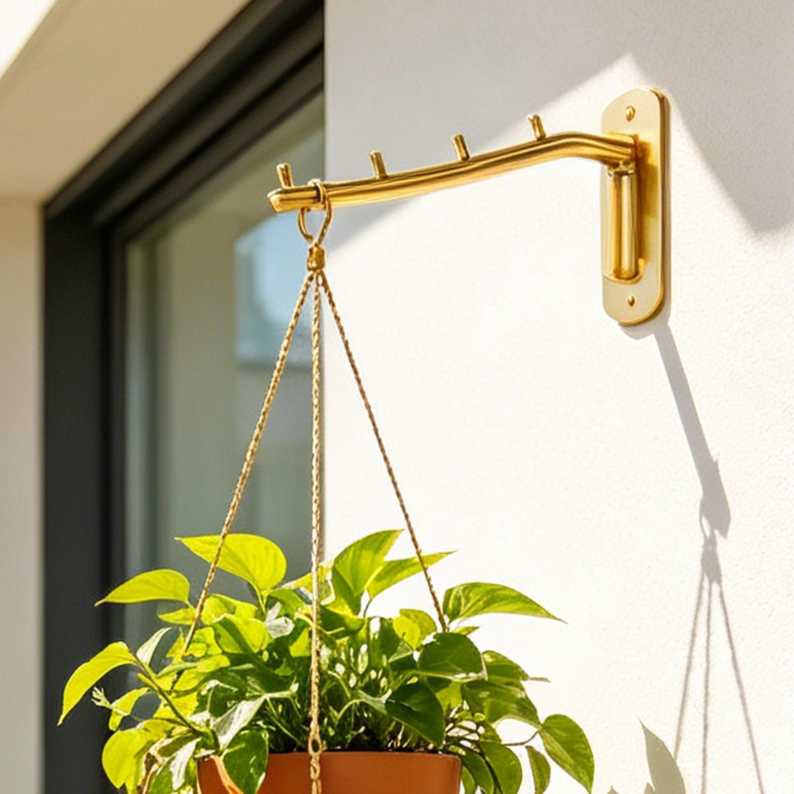 Wall-mounted plant rack plante - đánh giá và giá Hanging Planter Basket