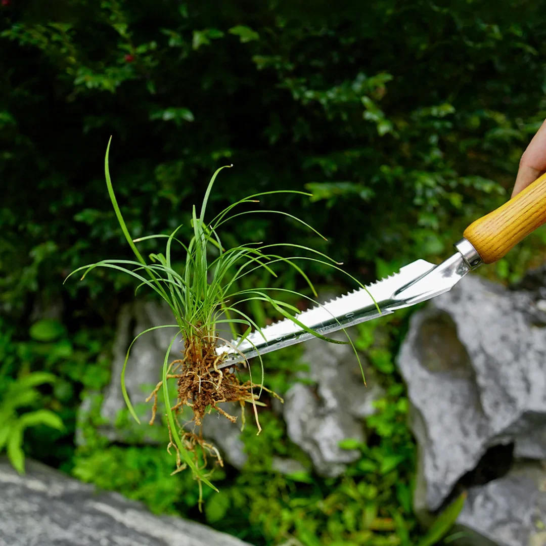 Garden Weeding Tools Stainless - đánh giá và giá Weed Puller