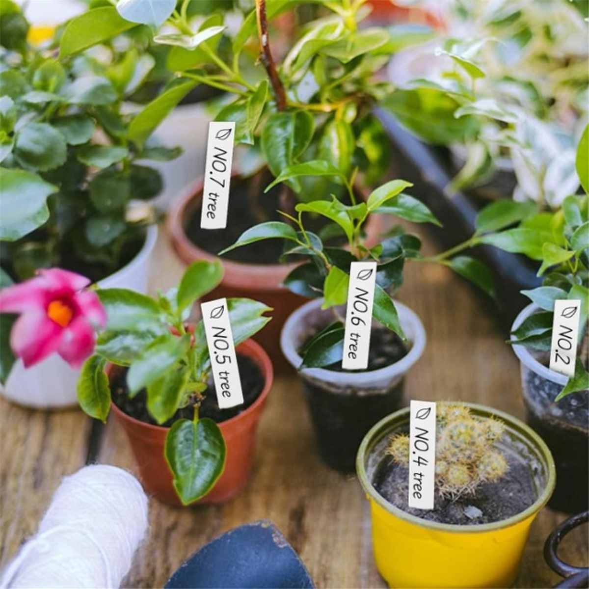 【Must-haves】Gardening tool - đánh giá và giá Gardening Tools Must Haves