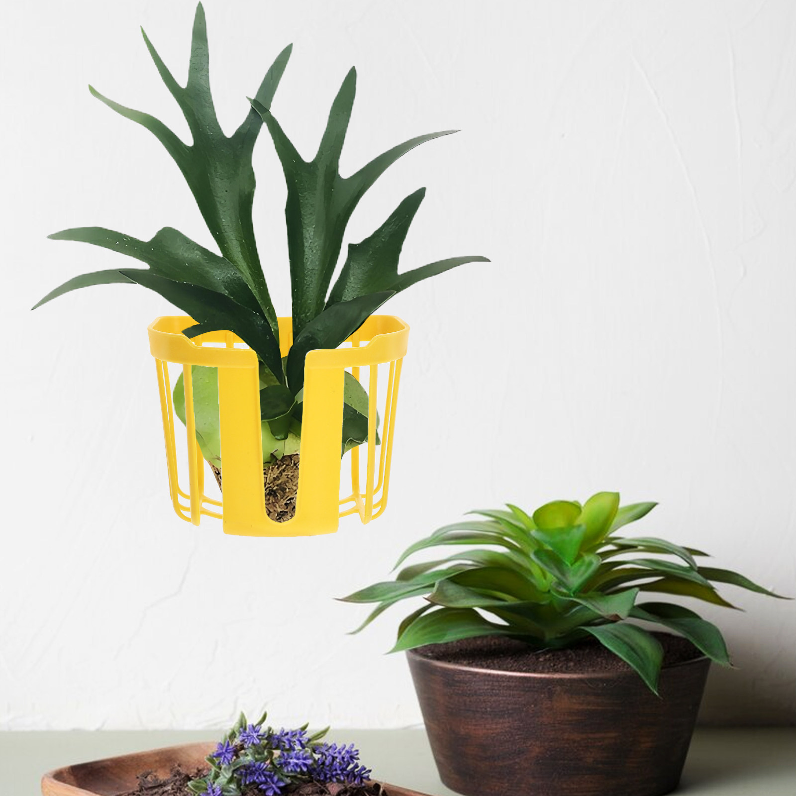 8Pcs Wall Mounted Planters Bas - đánh giá và giá Hanging Planter Basket