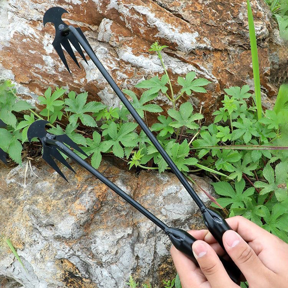 Garden Hoe Tool 2 in 1 Double  - đánh giá và giá Weed Puller
