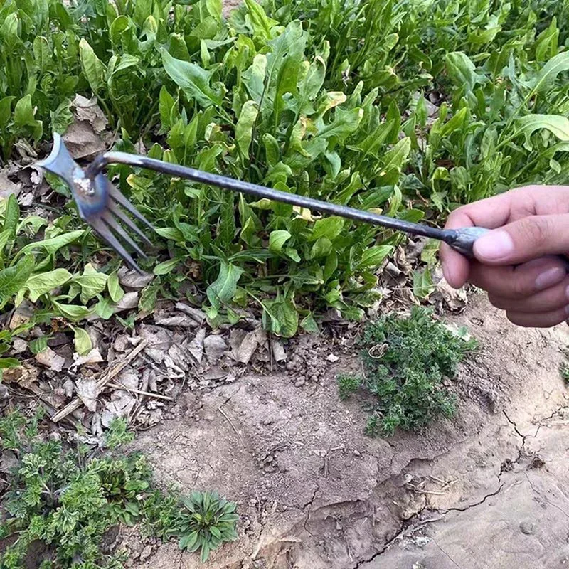 Garden Weeders Grass Hand Weed - đánh giá và giá Weed Puller
