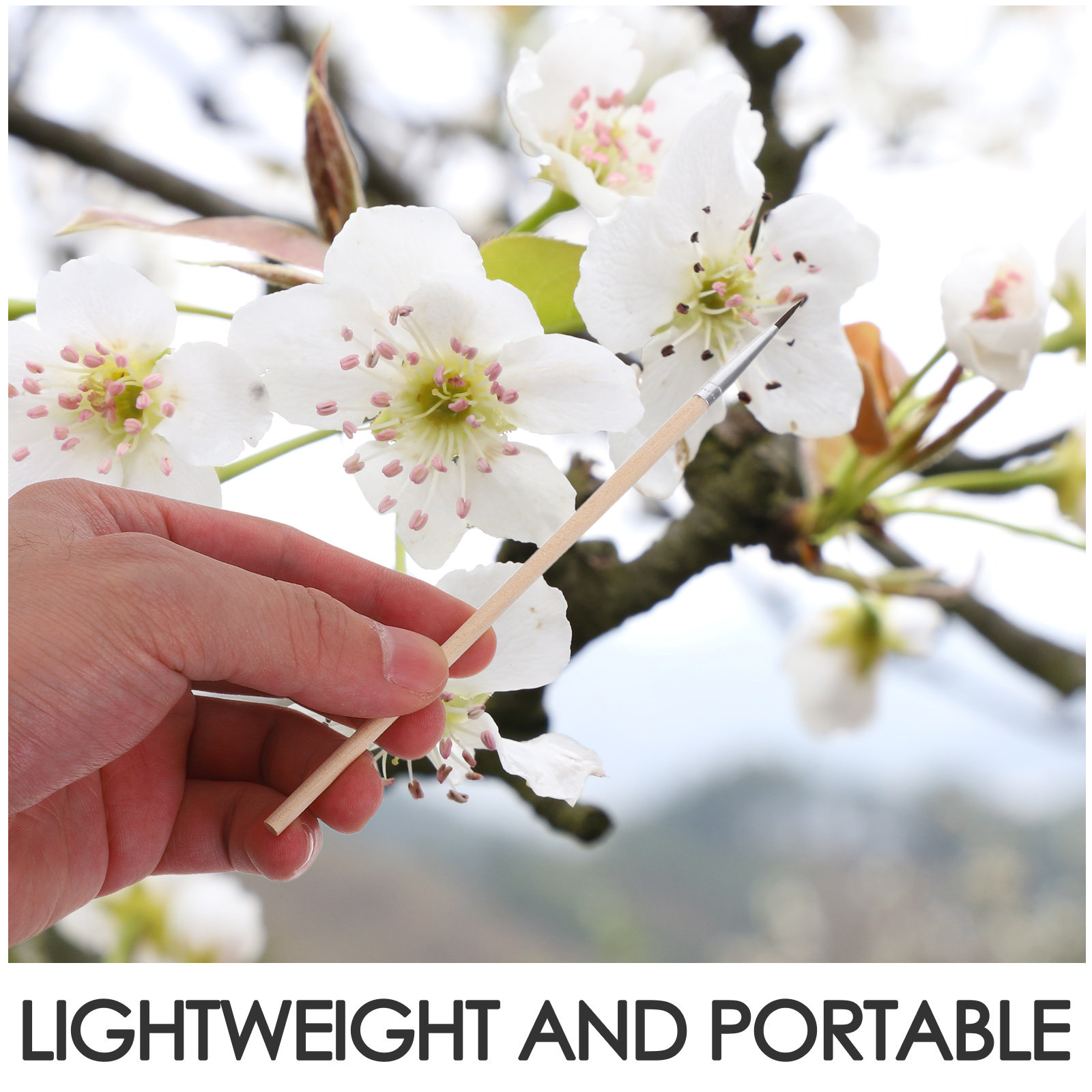 24pcs Reusable Pollination Too - đánh giá và giá Gardening Tools Hand