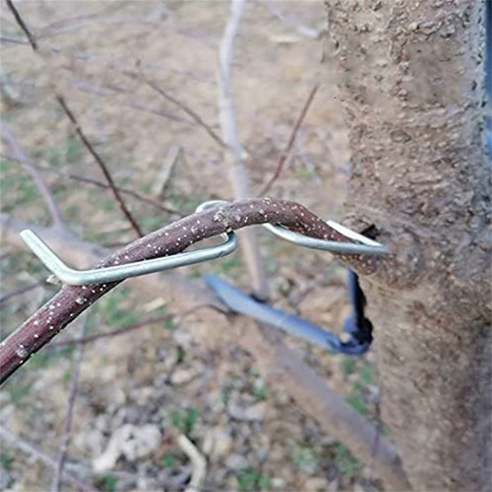 Fruit Tree Branch Bender Metal - đánh giá và giá Gardening Tools Must Haves
