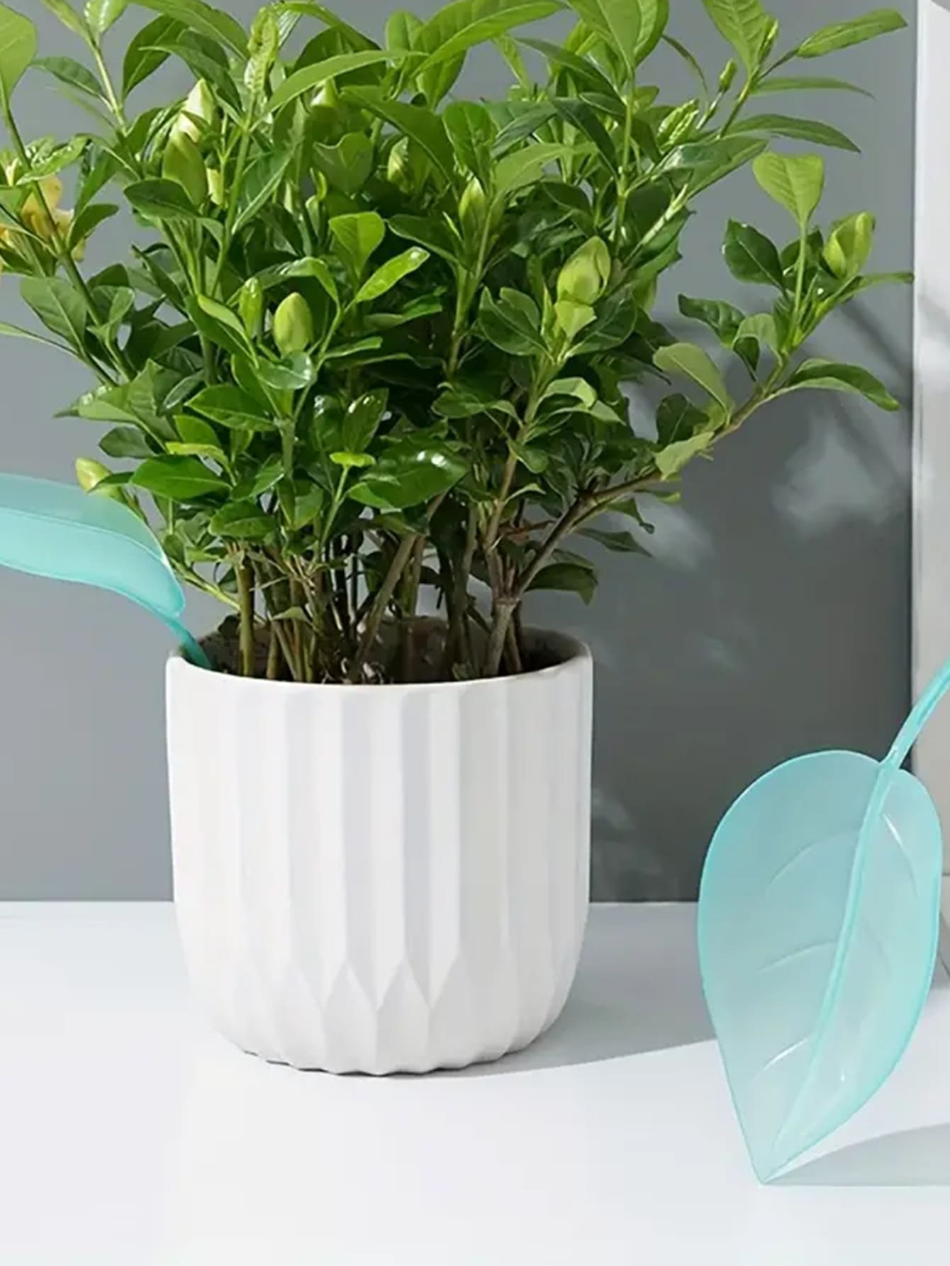 1pc Creative Irrigation Tools: - đánh giá và giá Gardening Tools Types