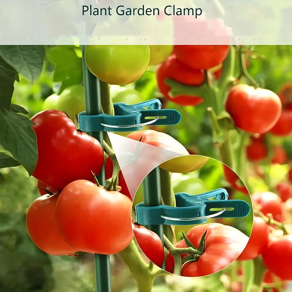 10/30/50pcs Adjustable Plant C - đánh giá và giá Essential Gardening Tools