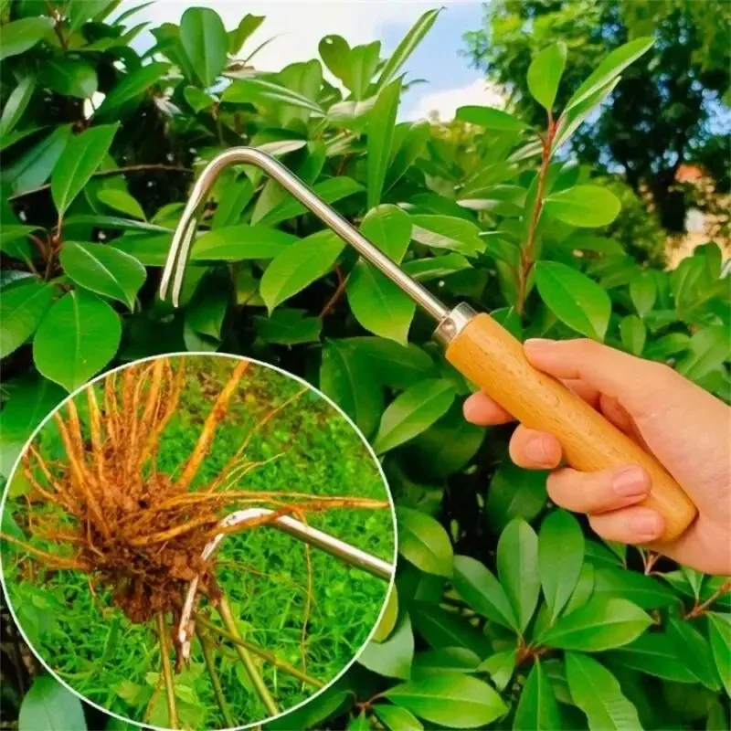 Stainless Steel Gardening Weed - đánh giá và giá Weed Puller
