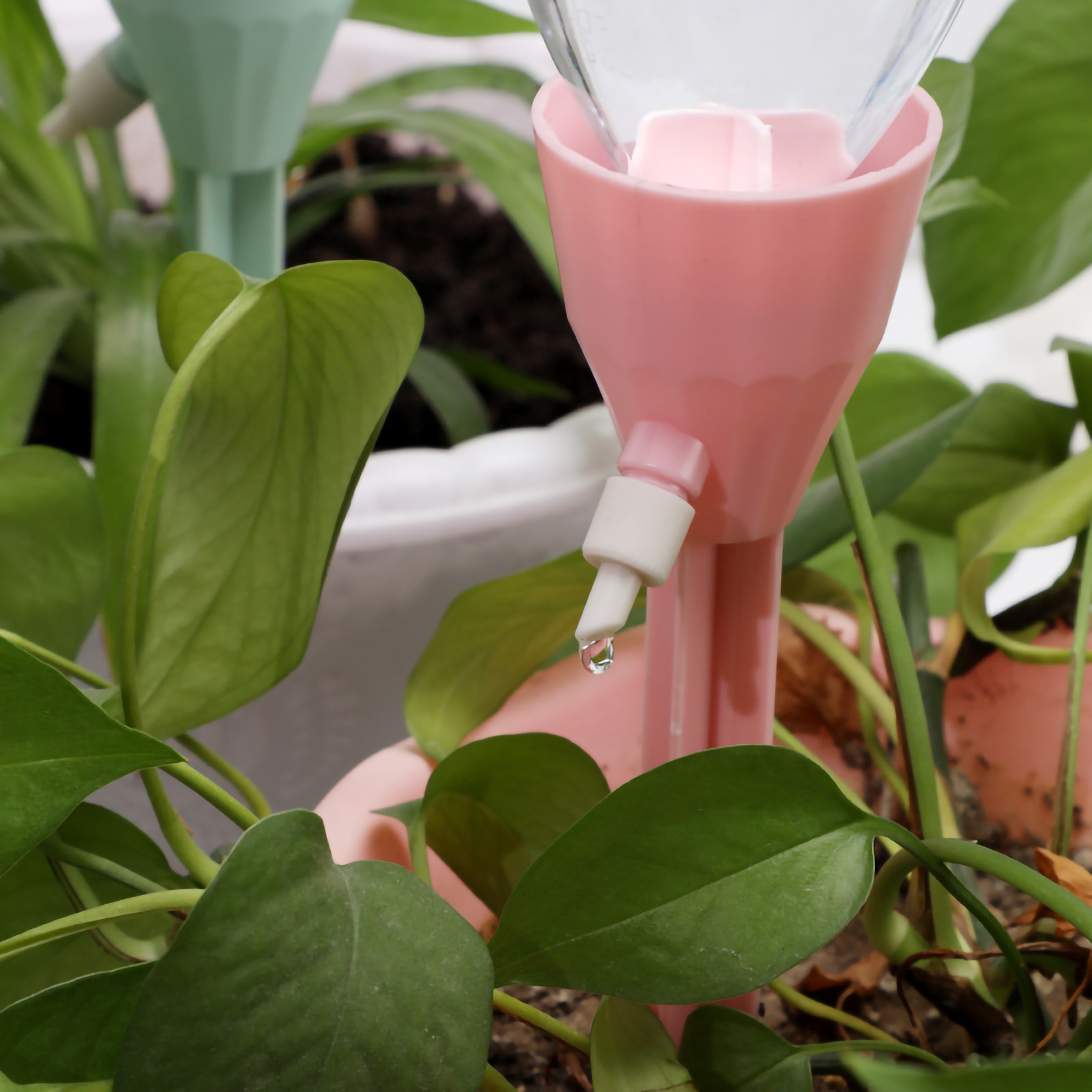 Auto Drippers Automatic Wateri - đánh giá và giá Gardening Tools Water