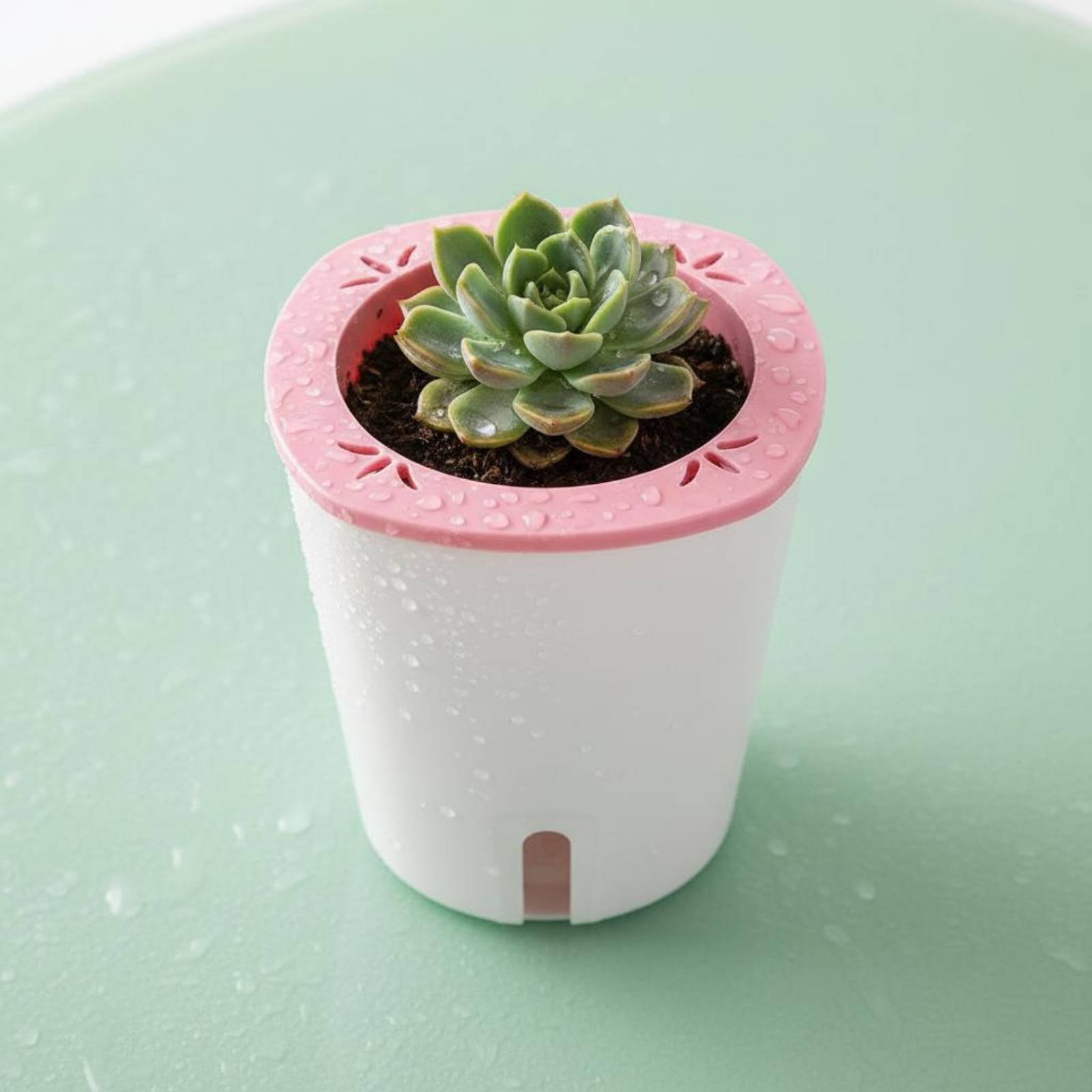 Self Watering Planter Large Si - đánh giá và giá Gardening Tools Of