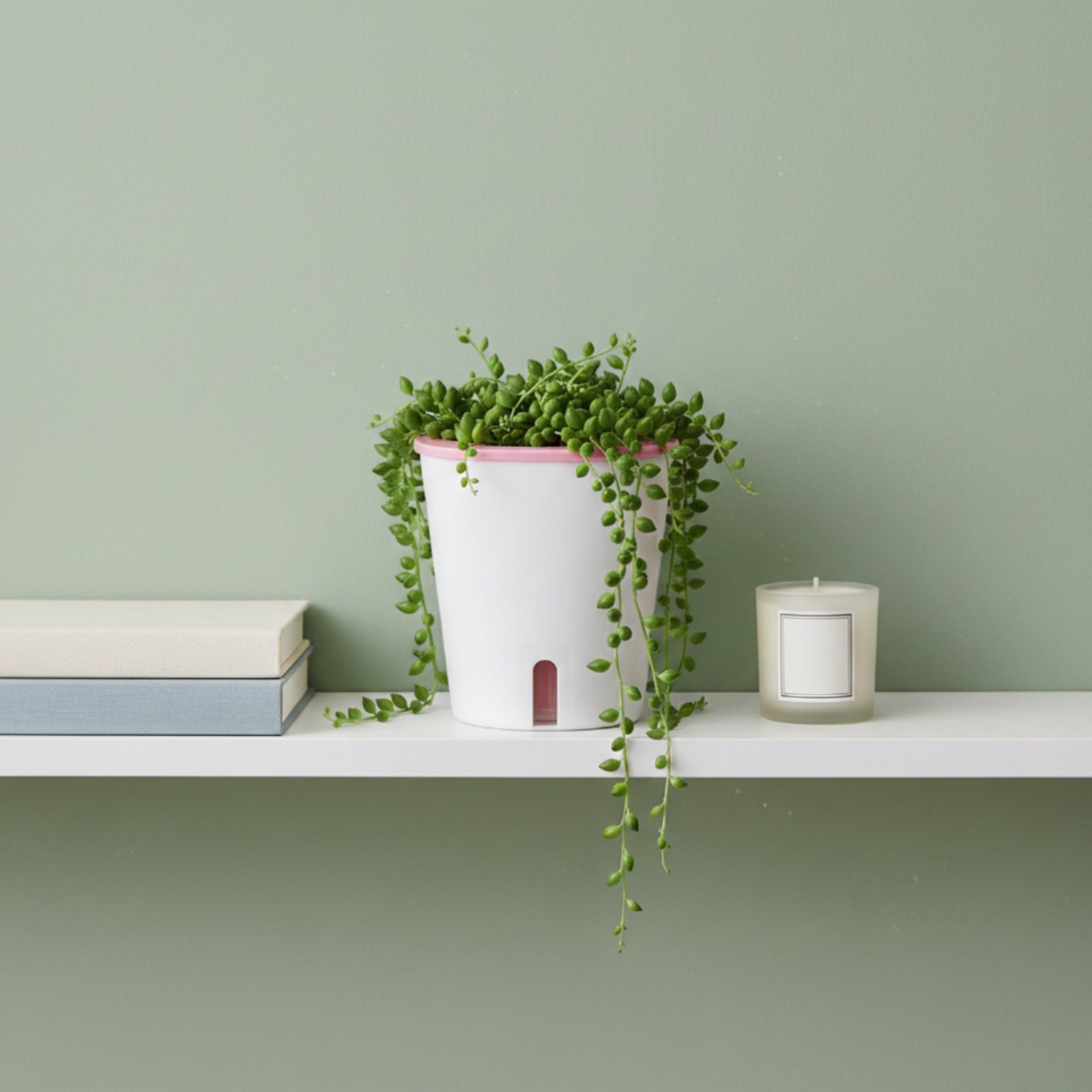 Self Watering Planter Large Si - đánh giá và giá Gardening Tools Of