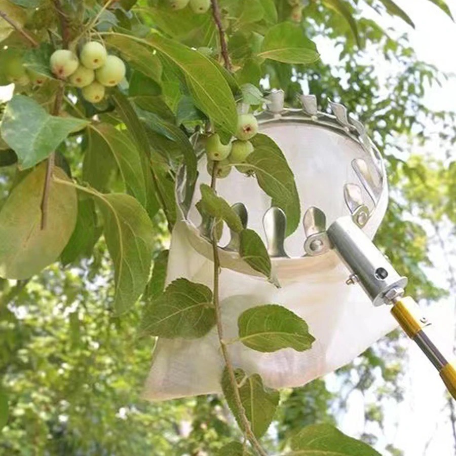 Professional Berry Picker Tool - đánh giá và giá Gardening Tools Organizer