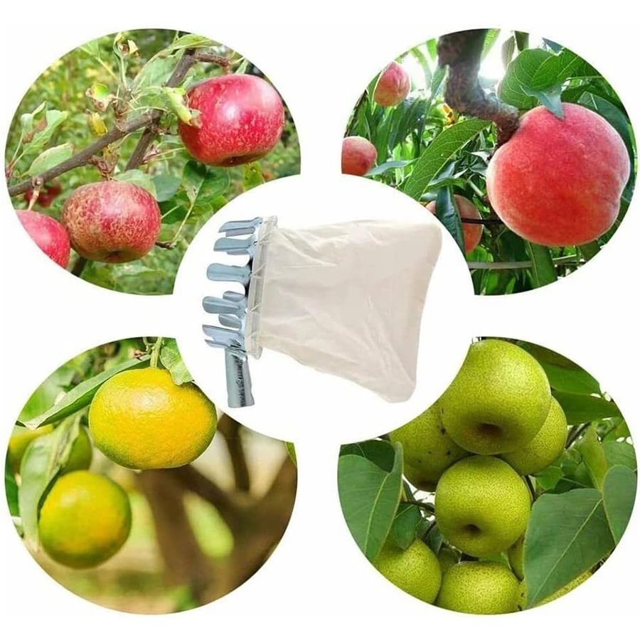 Professional Berry Picker Tool - đánh giá và giá Gardening Tools Organizer