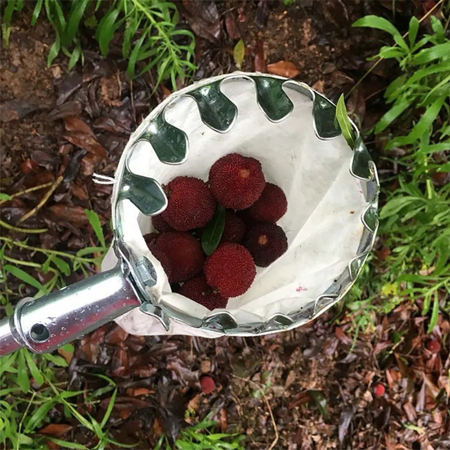 Professional Berry Picker Tool - đánh giá và giá Gardening Tools Organizer