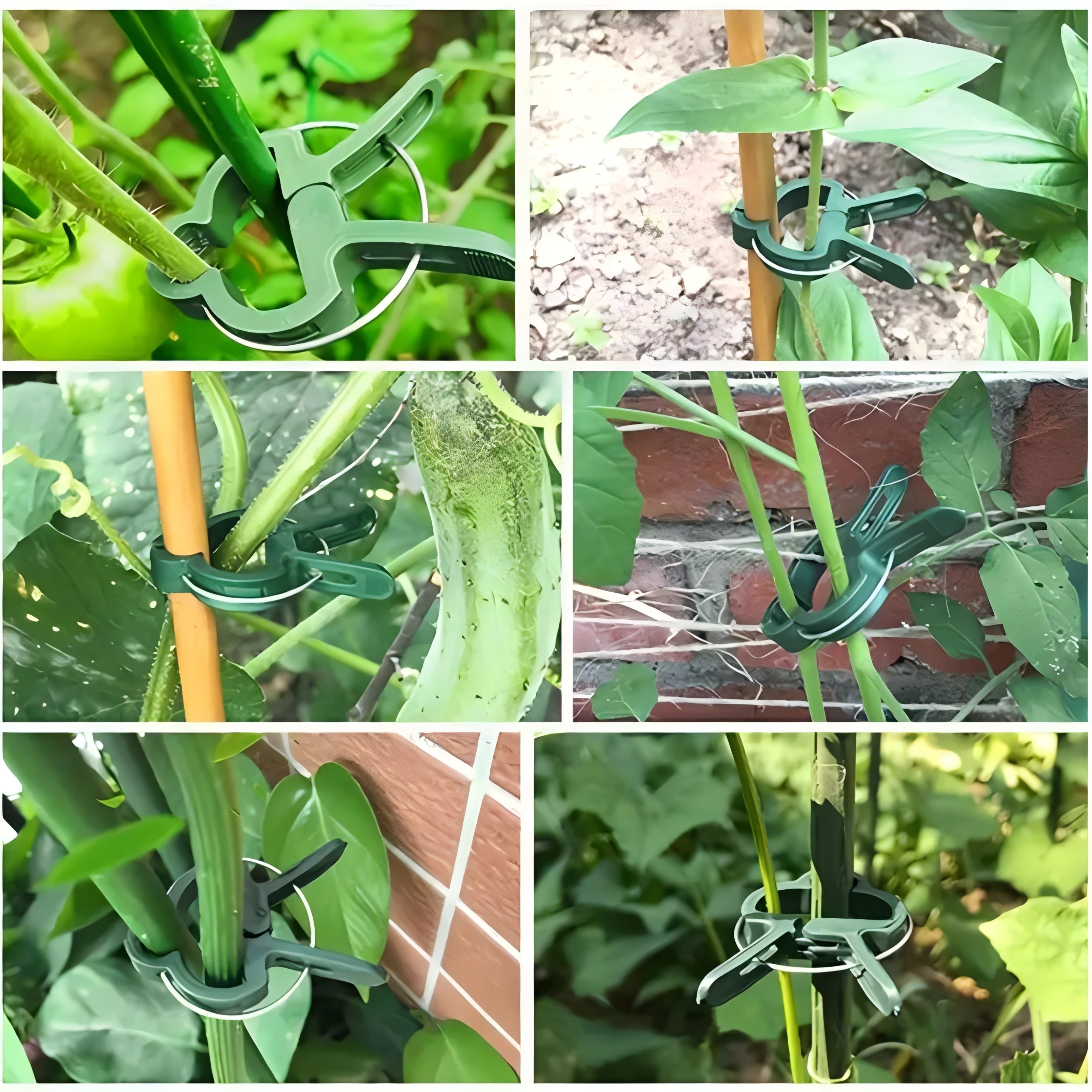 20 Adjustable Plant Support Cl - đánh giá và giá Essential Gardening Tools