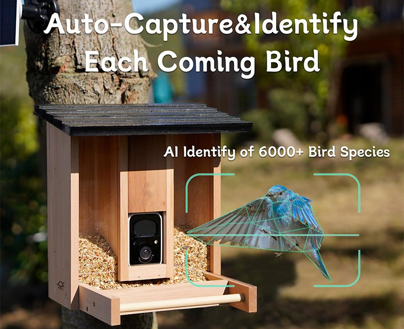 Bamboo wood intelligent bird f - đánh giá và giá Gardening Tools Definition