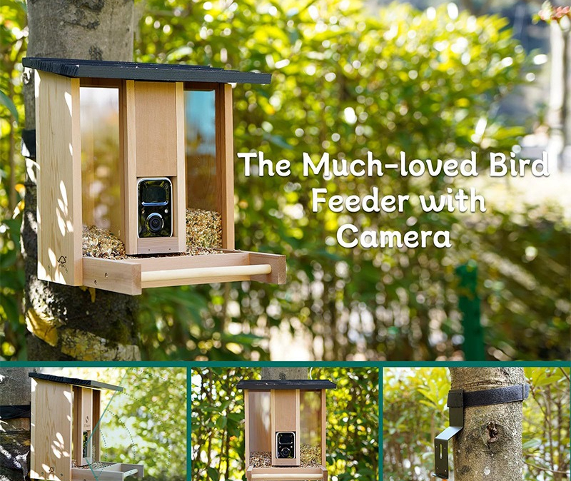 Bamboo wood intelligent bird f - đánh giá và giá Gardening Tools Definition