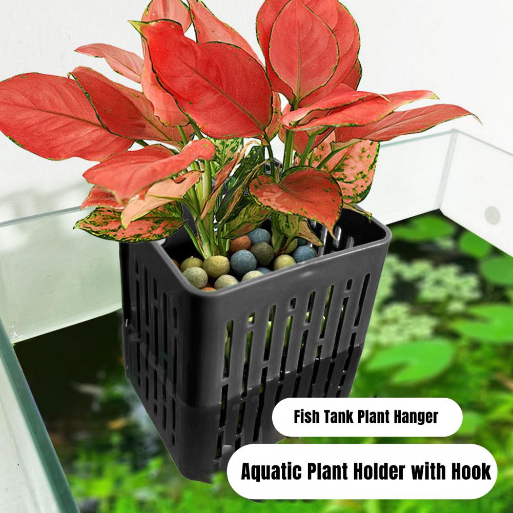 Hanging Aquarium Plant Holder  - đánh giá và giá Hanging Planter Basket