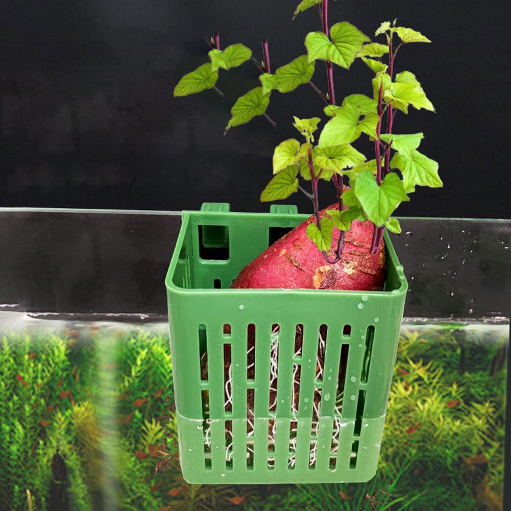 Hanging Aquarium Plant Holder  - đánh giá và giá Hanging Planter Basket