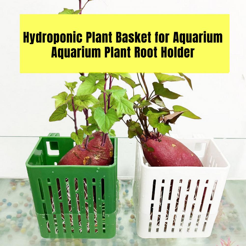 Hanging Aquarium Plant Holder  - đánh giá và giá Hanging Planter Basket