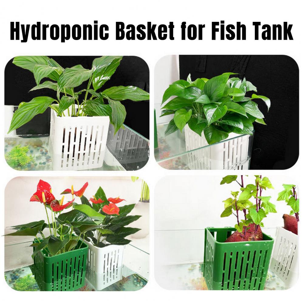 Hanging Aquarium Plant Holder  - đánh giá và giá Hanging Planter Basket