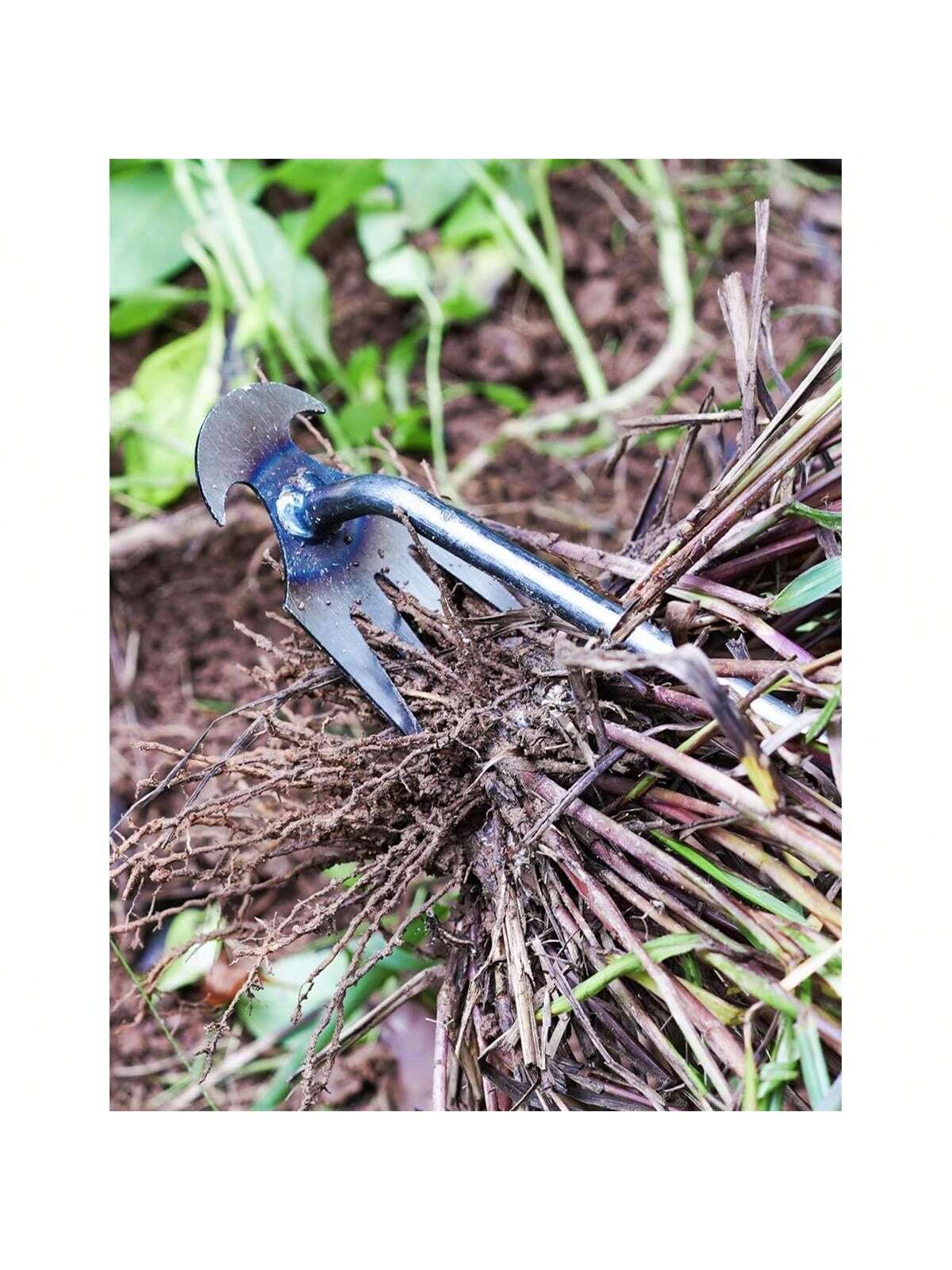 4 Teeths - Multifunctional Han - đánh giá và giá Gardening Tools Hand