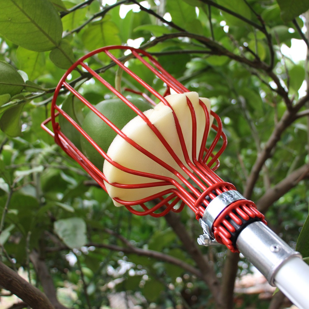 Metal/Plastic Fruit Picker Hea - đánh giá và giá Gardening Tools Hand