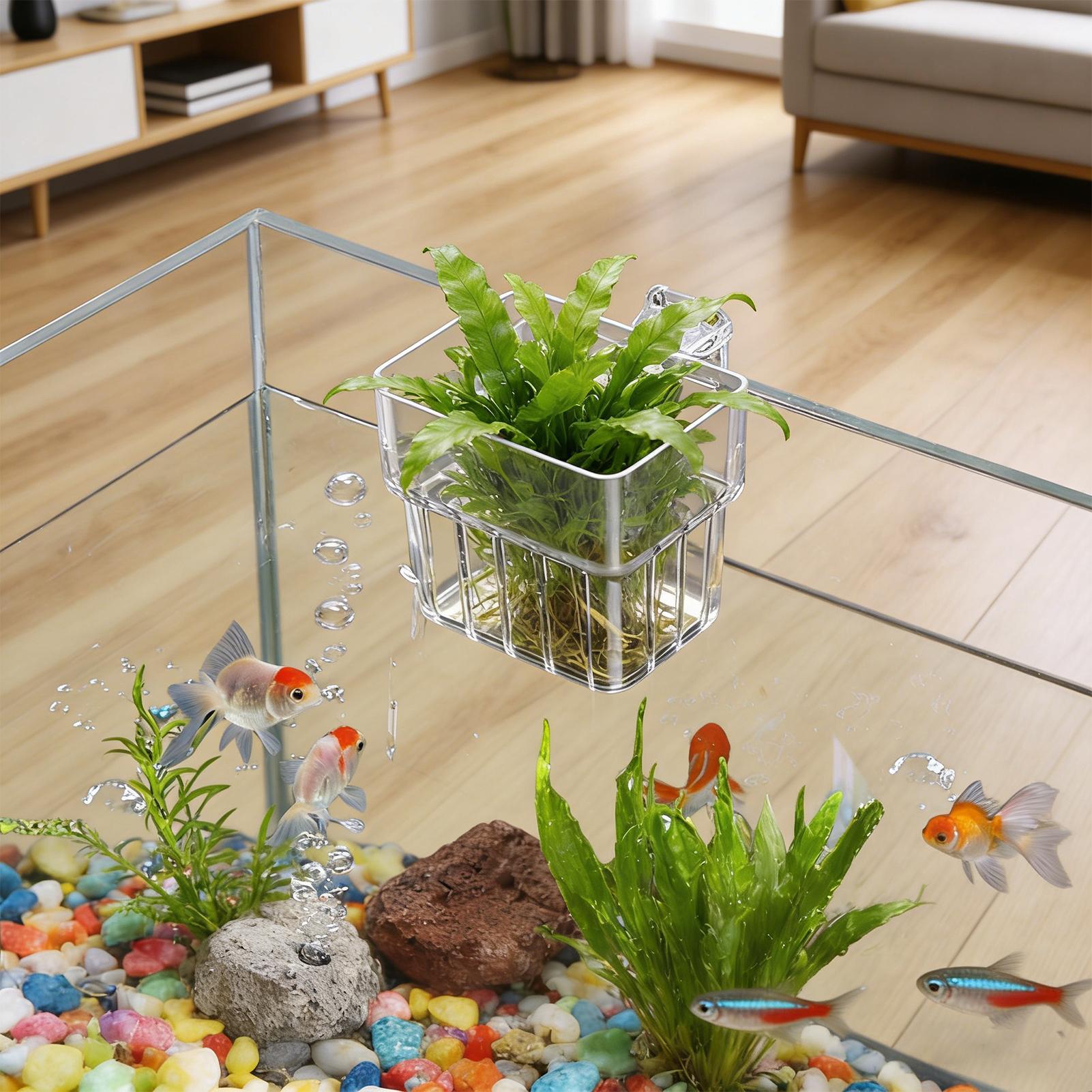 Aquarium Plant Basket Transpar - đánh giá và giá Hanging Planter Basket