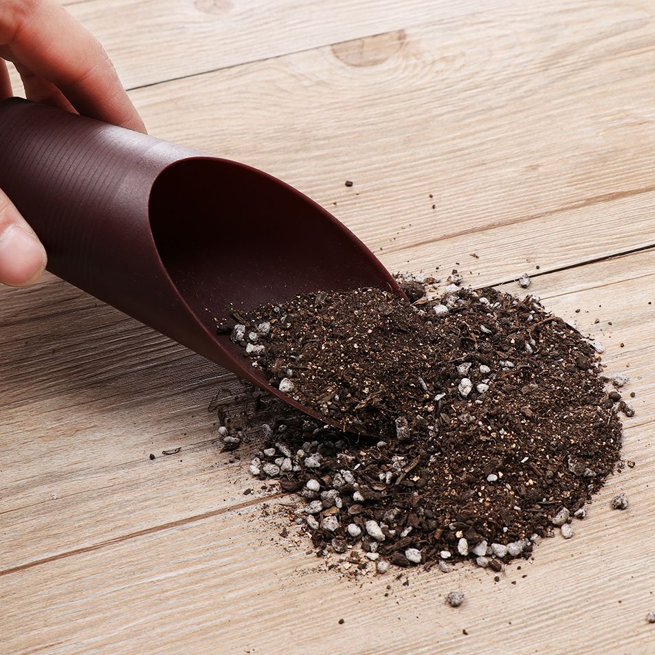 1PC Plastic Soil Shovel Cup Fo - đánh giá và giá Gardening Tools Hand